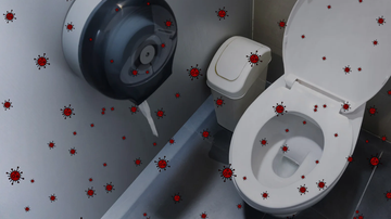 Is your washroom Svish toilet seat disinfectant proof?
